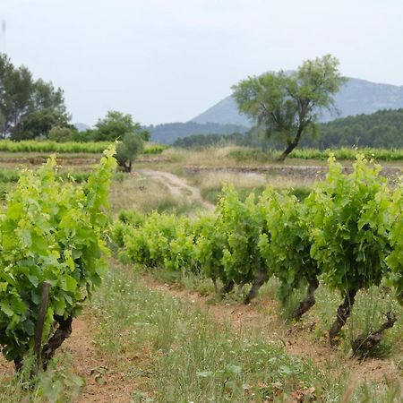 La Maison De Campagne Carces Luaran gambar