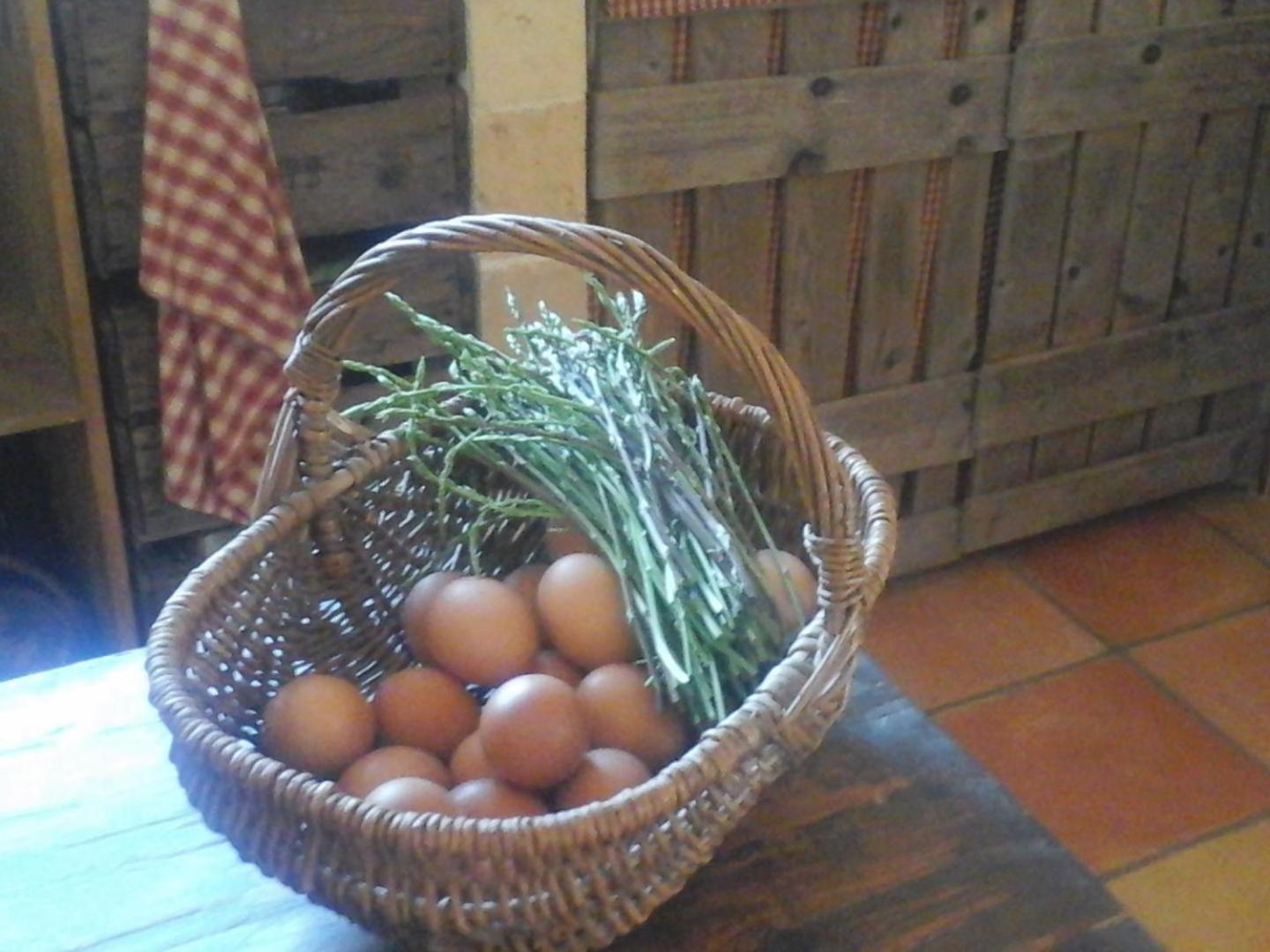 La Maison De Campagne Carces Luaran gambar